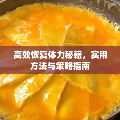 高效恢復(fù)體力秘籍，實(shí)用方法與策略指南