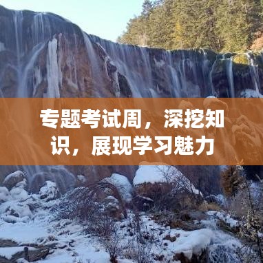 專題考試周，深挖知識，展現(xiàn)學習魅力