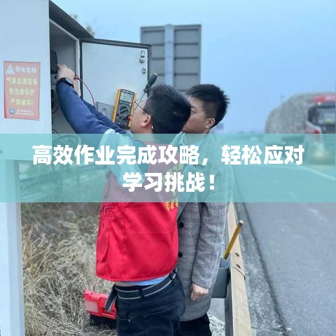 高效作業(yè)完成攻略，輕松應(yīng)對(duì)學(xué)習(xí)挑戰(zhàn)！