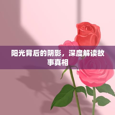 陽光背后的陰影，深度解讀故事真相