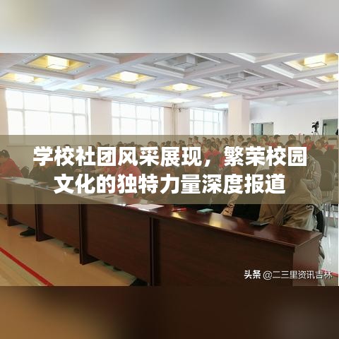 學校社團風采展現(xiàn)，繁榮校園文化的獨特力量深度報道