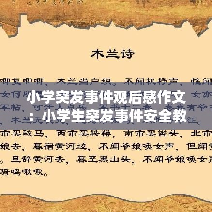 關(guān)于我們 第126頁