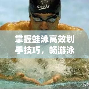 第1566頁