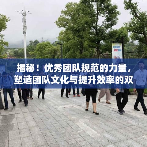 揭秘！優(yōu)秀團(tuán)隊(duì)規(guī)范的力量，塑造團(tuán)隊(duì)文化與提升效率的雙重秘訣