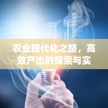 農(nóng)業(yè)現(xiàn)代化之路，高效產(chǎn)出的探索與實踐