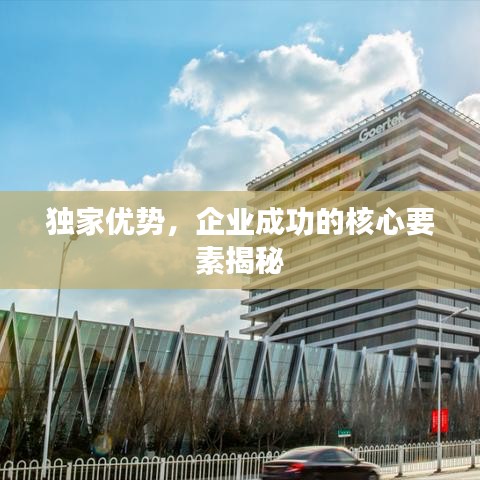 獨家優(yōu)勢，企業(yè)成功的核心要素揭秘