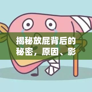 揭秘放屁背后的秘密，原因、影響與應(yīng)對方法