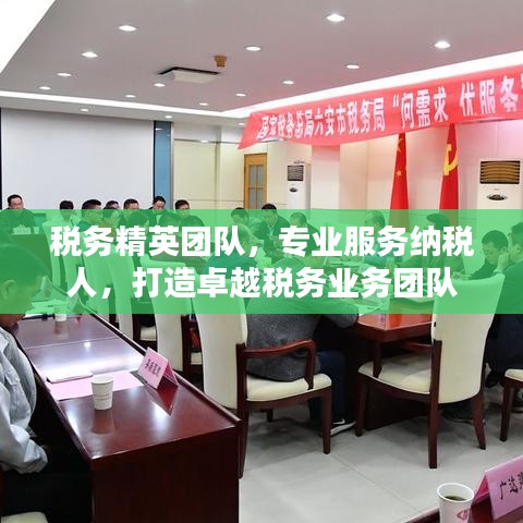 稅務(wù)精英團(tuán)隊(duì)，專業(yè)服務(wù)納稅人，打造卓越稅務(wù)業(yè)務(wù)團(tuán)隊(duì)