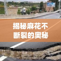 揭秘麻花不斷裂的奧秘，制作技巧全攻略