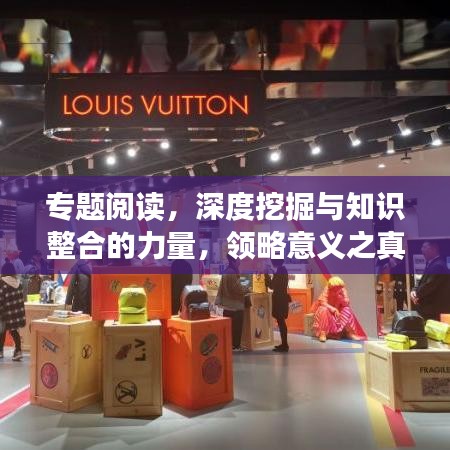 專題閱讀，深度挖掘與知識整合的力量，領(lǐng)略意義之真諦