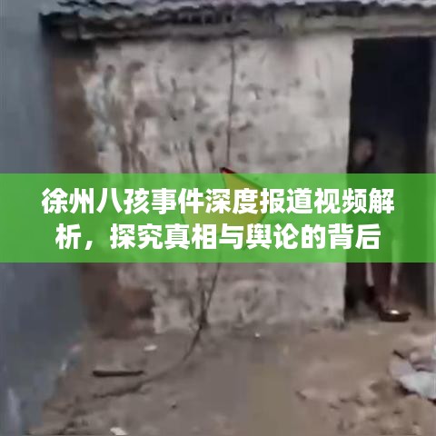 徐州八孩事件深度報道視頻解析，探究真相與輿論的背后