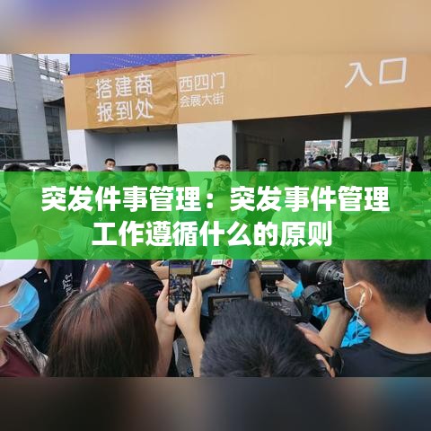 飛箭如蝗 第3頁(yè)