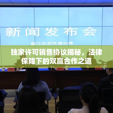 獨家許可銷售協(xié)議揭秘，法律保障下的雙贏合作之道