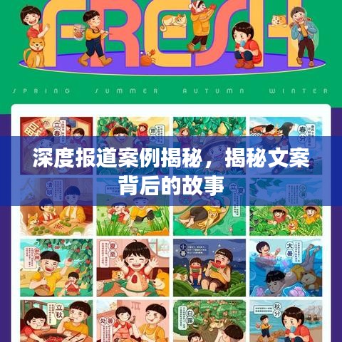 深度報(bào)道案例揭秘，揭秘文案背后的故事