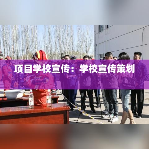項(xiàng)目學(xué)校宣傳：學(xué)校宣傳策劃 