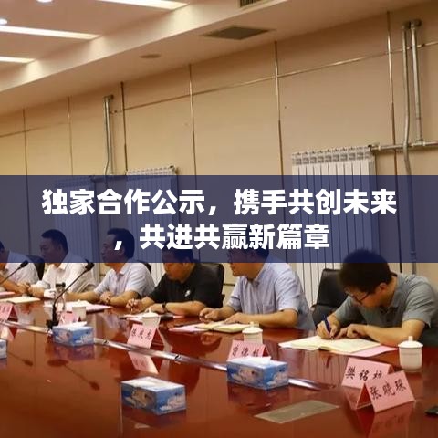 獨家合作公示，攜手共創(chuàng)未來，共進共贏新篇章
