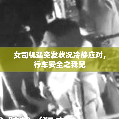 女司機遇突發(fā)狀況冷靜應(yīng)對，行車安全之我見