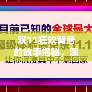雙11狂歡背后的故事揭秘，深度報道，探尋購物盛宴的真相