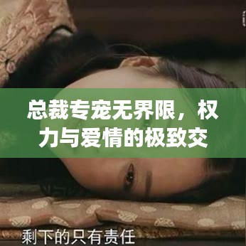總裁專寵無(wú)界限，權(quán)力與愛(ài)情的極致交融