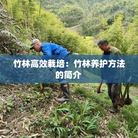 竹林高效栽培：竹林養(yǎng)護(hù)方法的簡(jiǎn)介 