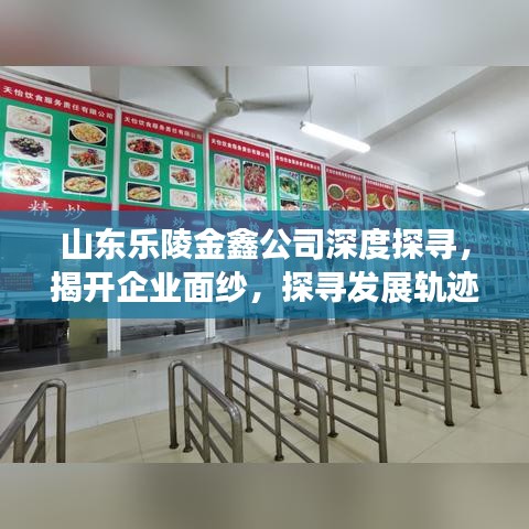 山東樂陵金鑫公司深度探尋，揭開企業(yè)面紗，探尋發(fā)展軌跡