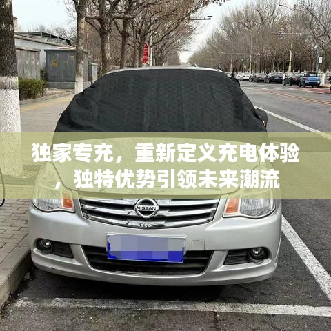獨家專充，重新定義充電體驗，獨特優(yōu)勢引領(lǐng)未來潮流