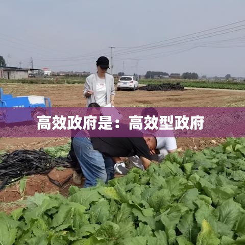 鷙鳥(niǎo)不群 第3頁(yè)