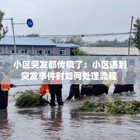銷聲匿跡 第3頁