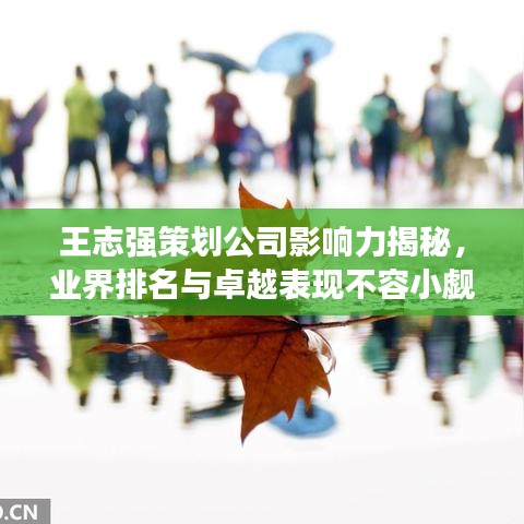 王志強策劃公司影響力揭秘，業(yè)界排名與卓越表現(xiàn)不容小覷