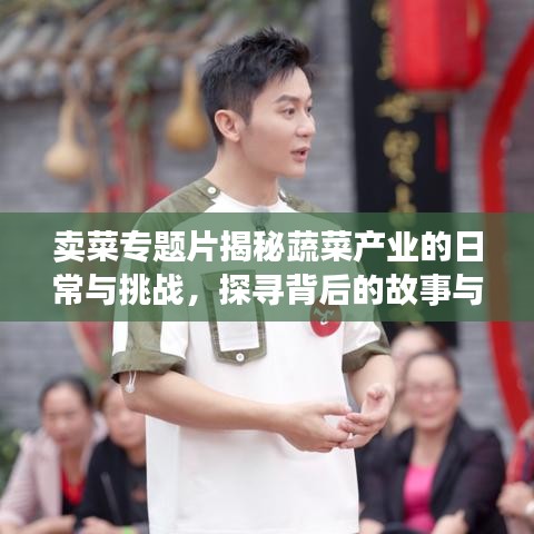 賣菜專題片揭秘蔬菜產(chǎn)業(yè)的日常與挑戰(zhàn)，探尋背后的故事與挑戰(zhàn)