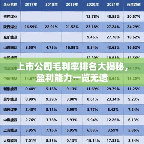 上市公司毛利率排名大揭秘，盈利能力一覽無(wú)遺