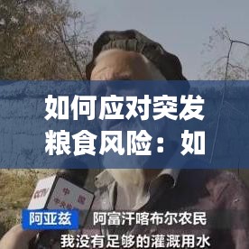 如何應(yīng)對突發(fā)糧食風(fēng)險(xiǎn)：如何應(yīng)對糧食短缺 