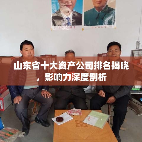山東省十大資產(chǎn)公司排名揭曉，影響力深度剖析