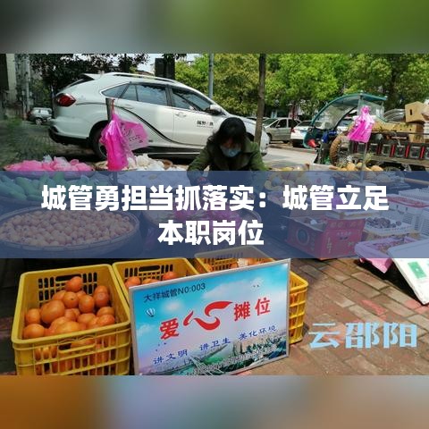 城管勇?lián)?dāng)抓落實(shí)：城管立足本職崗位 