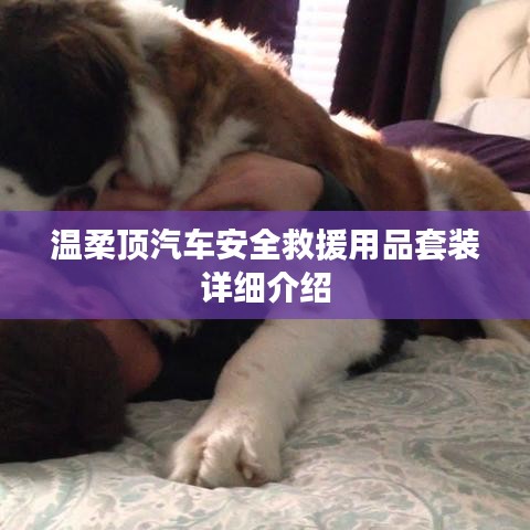 森久 第10頁