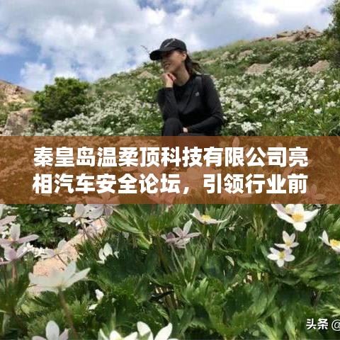 秦皇島溫柔頂科技亮相汽車安全論壇，引領(lǐng)前沿技術(shù)探討風(fēng)潮