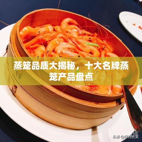 蒸籠品質(zhì)大揭秘，十大名牌蒸籠產(chǎn)品盤點(diǎn)