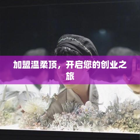 加盟溫柔頂，創(chuàng)業(yè)啟程啟航
