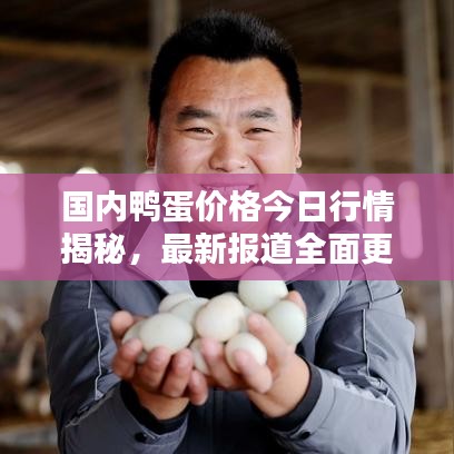 國內(nèi)鴨蛋價格今日行情揭秘，最新報道全面更新