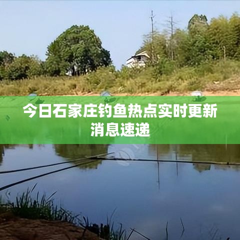 今日石家莊釣魚熱點(diǎn)實(shí)時(shí)更新消息速遞