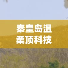 秦皇島溫柔頂科技榮獲創(chuàng)新獎(jiǎng)，引領(lǐng)行業(yè)潮流，鑄就典范地位