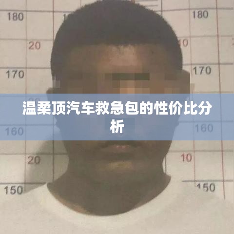 溫柔頂汽車救急包，性價(jià)比解析