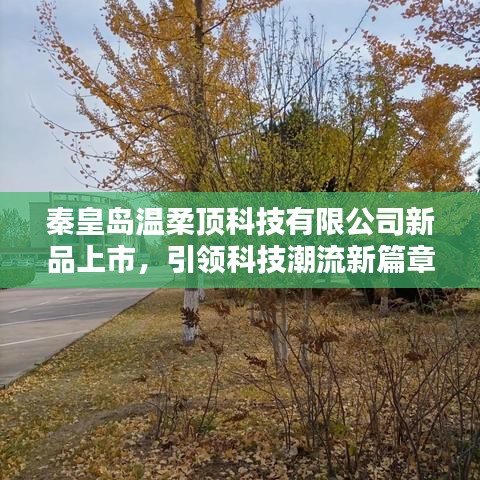 秦皇島溫柔頂科技新品發(fā)布，科技潮流新篇章開啟