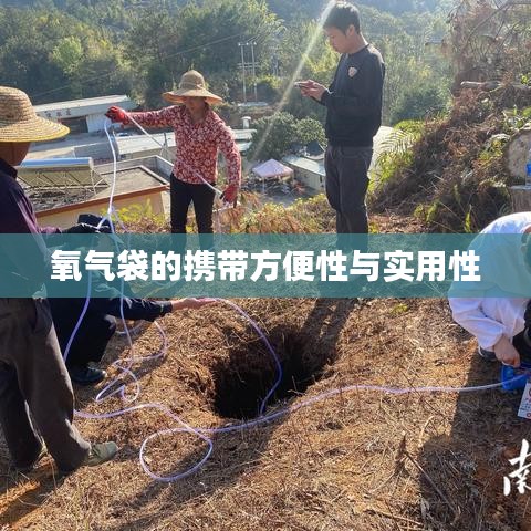 氧氣袋便攜實用，應急醫(yī)療好幫手