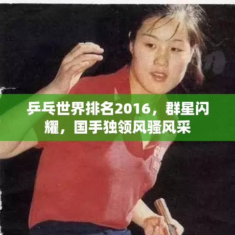 乒乓世界排名2016，群星閃耀，國手獨領風騷風采