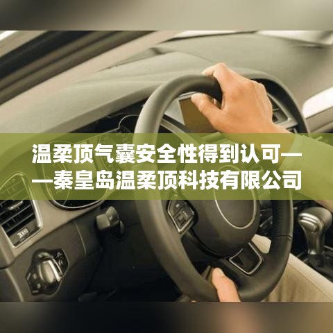 行業(yè)新標桿