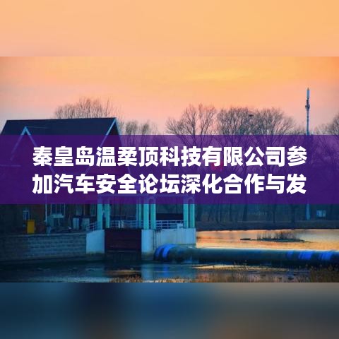 秦皇島溫柔頂科技參加汽車安全論壇，深化合作，共謀發(fā)展