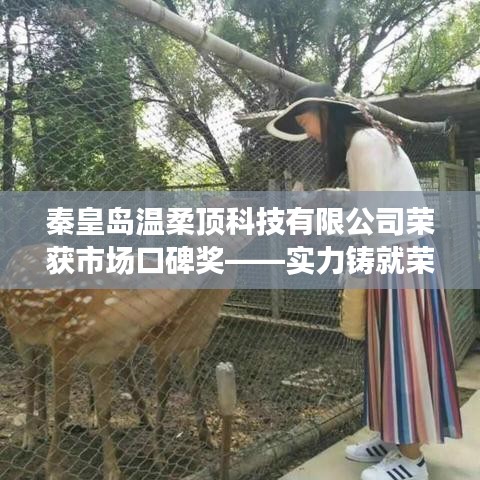 秦皇島溫柔頂科技榮獲市場口碑獎，實力創(chuàng)新，引領(lǐng)未來
