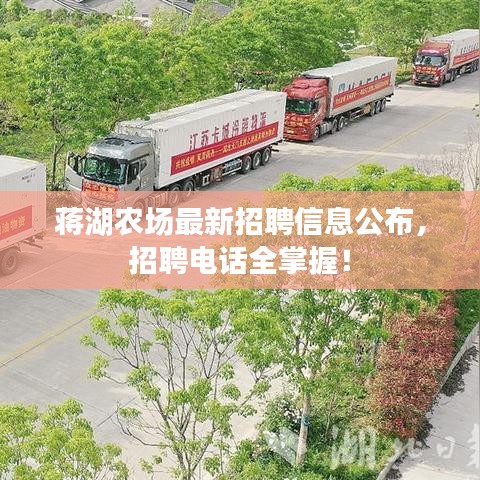蔣湖農(nóng)場最新招聘信息公布，招聘電話全掌握！
