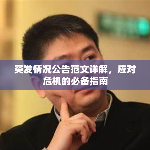 突發(fā)情況公告范文詳解，應(yīng)對(duì)危機(jī)的必備指南